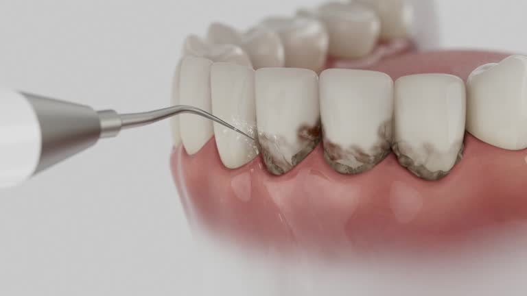 Reliable Dental contractor in Clay, CA by Dentist Open Now
